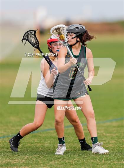 Thumbnail 1 in Manatee vs Cypress Creek photogallery.