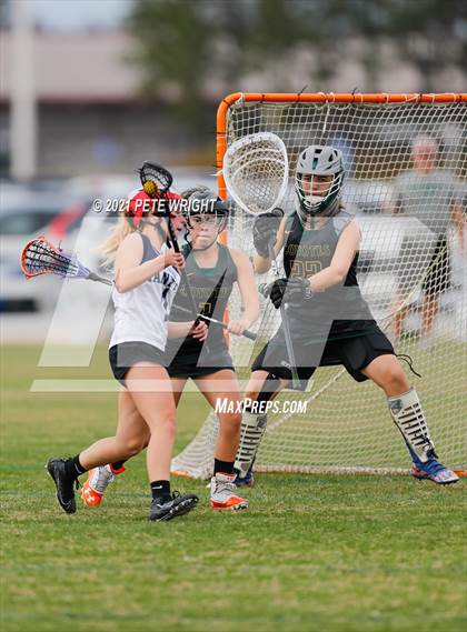 Thumbnail 3 in Manatee vs Cypress Creek photogallery.