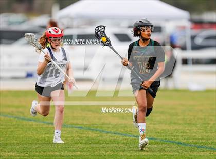 Thumbnail 1 in Manatee vs Cypress Creek photogallery.