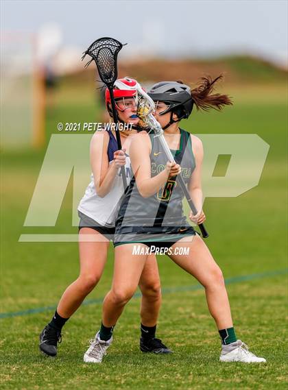 Thumbnail 3 in Manatee vs Cypress Creek photogallery.
