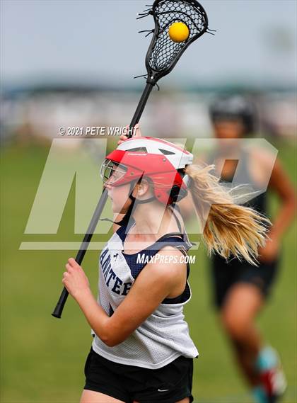 Thumbnail 2 in Manatee vs Cypress Creek photogallery.