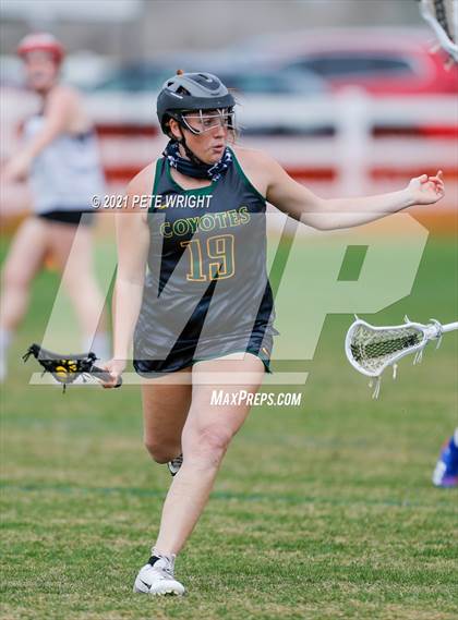 Thumbnail 3 in Manatee vs Cypress Creek photogallery.