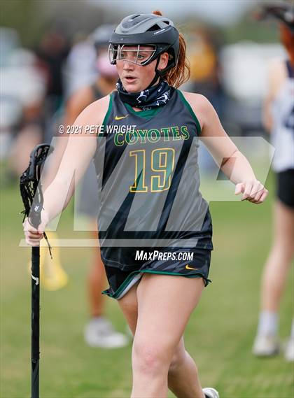 Thumbnail 1 in Manatee vs Cypress Creek photogallery.