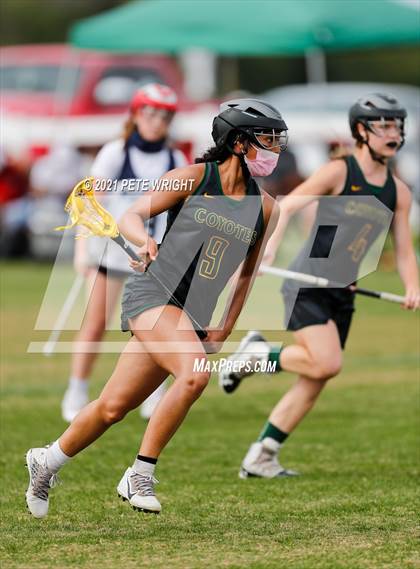 Thumbnail 2 in Manatee vs Cypress Creek photogallery.