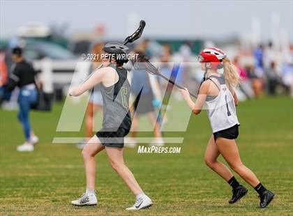 Thumbnail 1 in Manatee vs Cypress Creek photogallery.