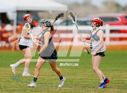 Thumbnail 1 in Manatee vs Cypress Creek photogallery.