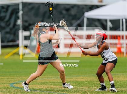 Thumbnail 1 in Manatee vs Cypress Creek photogallery.