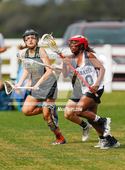 Thumbnail 1 in Manatee vs Cypress Creek photogallery.