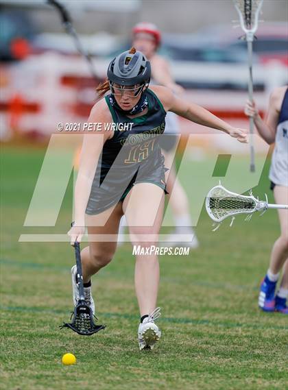 Thumbnail 2 in Manatee vs Cypress Creek photogallery.