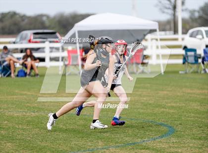 Thumbnail 2 in Manatee vs Cypress Creek photogallery.