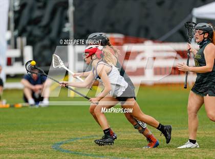 Thumbnail 1 in Manatee vs Cypress Creek photogallery.