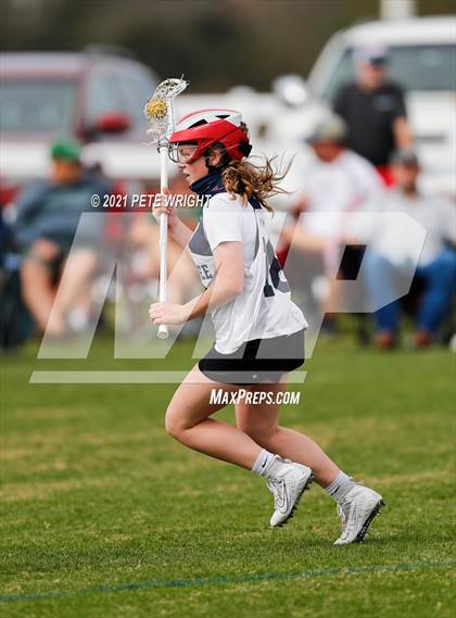 Thumbnail 2 in Manatee vs Cypress Creek photogallery.