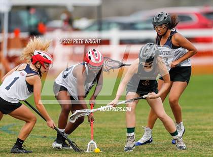 Thumbnail 2 in Manatee vs Cypress Creek photogallery.