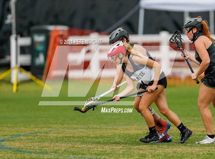 Thumbnail 3 in Manatee vs Cypress Creek photogallery.