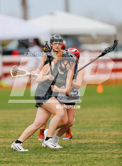 Thumbnail 1 in Manatee vs Cypress Creek photogallery.
