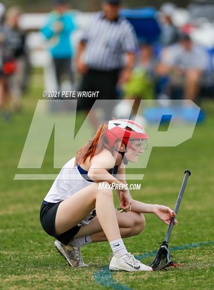 Thumbnail 2 in Manatee vs Cypress Creek photogallery.