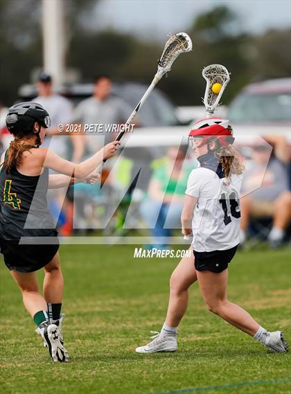 Thumbnail 3 in Manatee vs Cypress Creek photogallery.