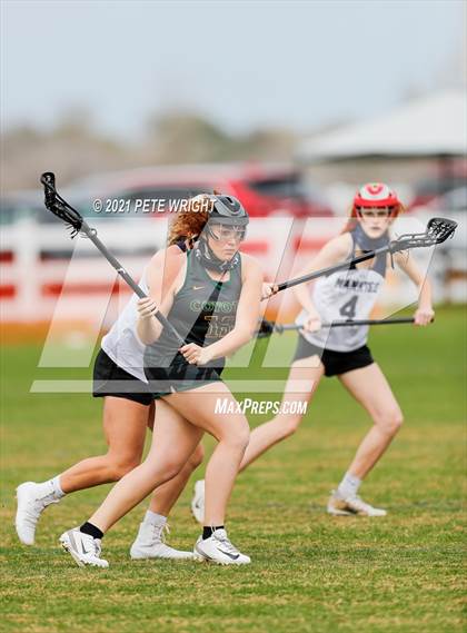 Thumbnail 2 in Manatee vs Cypress Creek photogallery.