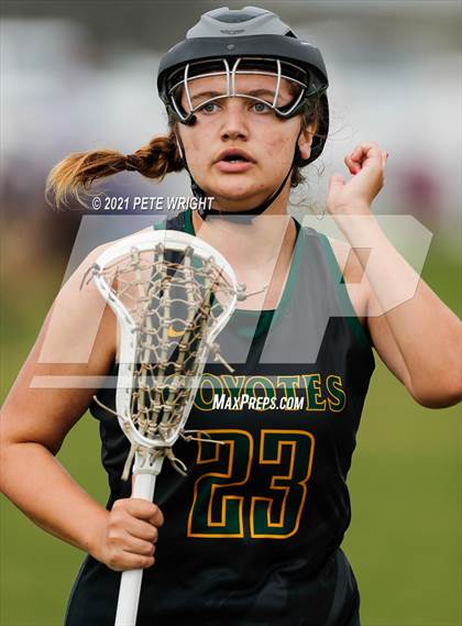 Thumbnail 1 in Manatee vs Cypress Creek photogallery.