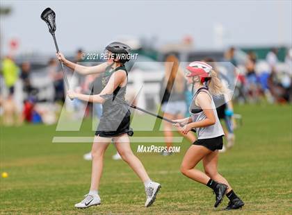 Thumbnail 2 in Manatee vs Cypress Creek photogallery.