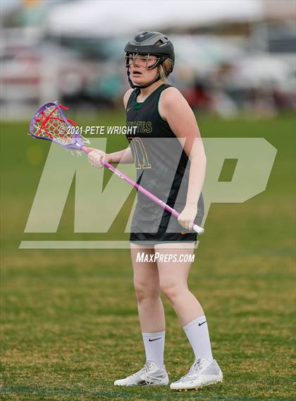 Thumbnail 1 in Manatee vs Cypress Creek photogallery.