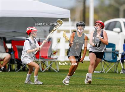 Thumbnail 1 in Manatee vs Cypress Creek photogallery.