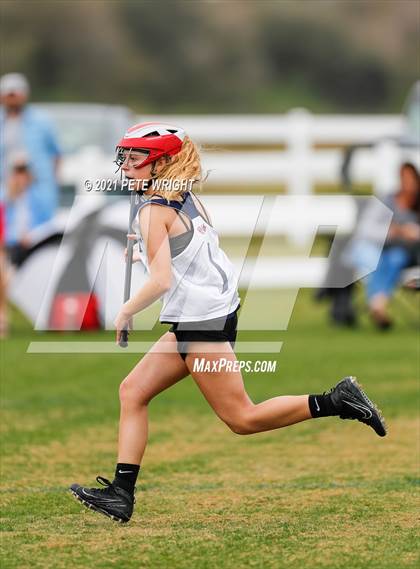 Thumbnail 1 in Manatee vs Cypress Creek photogallery.