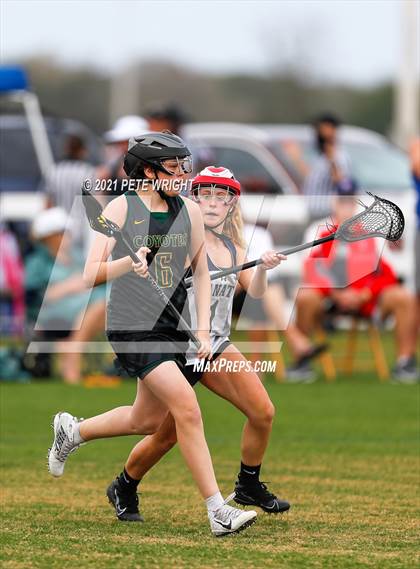 Thumbnail 1 in Manatee vs Cypress Creek photogallery.