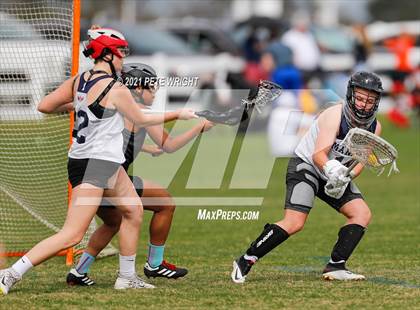 Thumbnail 2 in Manatee vs Cypress Creek photogallery.
