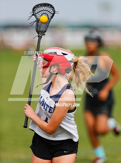 Thumbnail 1 in Manatee vs Cypress Creek photogallery.