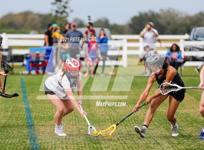 Thumbnail 1 in Manatee vs Cypress Creek photogallery.