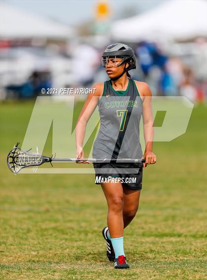 Thumbnail 2 in Manatee vs Cypress Creek photogallery.