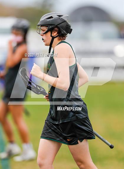 Thumbnail 1 in Manatee vs Cypress Creek photogallery.