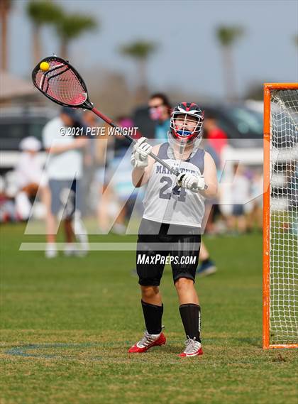 Thumbnail 1 in Manatee vs Cypress Creek photogallery.