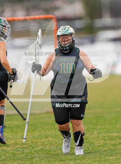 Thumbnail 1 in Manatee vs Cypress Creek photogallery.
