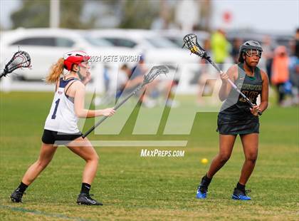 Thumbnail 3 in Manatee vs Cypress Creek photogallery.