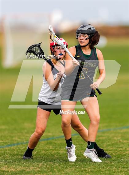 Thumbnail 2 in Manatee vs Cypress Creek photogallery.