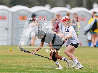 Thumbnail 3 in Manatee vs Cypress Creek photogallery.