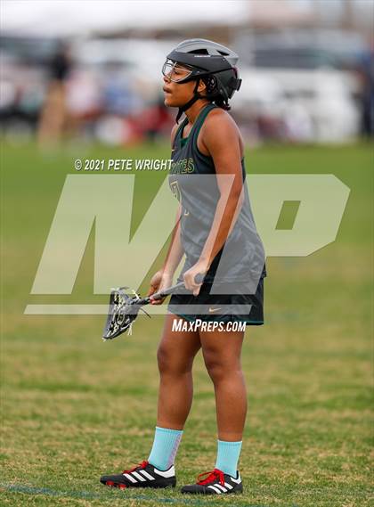 Thumbnail 1 in Manatee vs Cypress Creek photogallery.