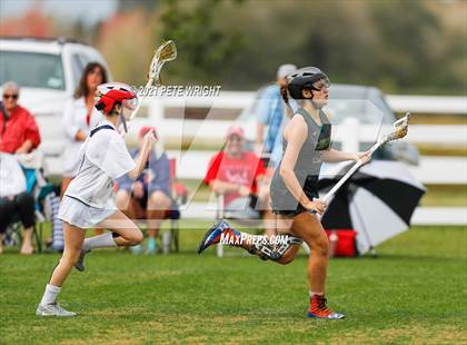 Thumbnail 2 in Manatee vs Cypress Creek photogallery.
