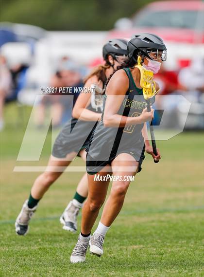 Thumbnail 1 in Manatee vs Cypress Creek photogallery.