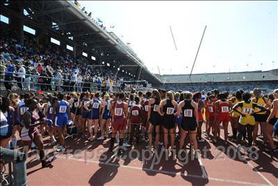 Thumbnail 2 in 114th Penn Relays  photogallery.