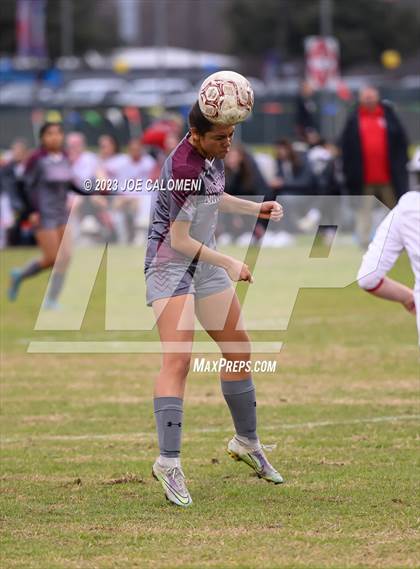 Thumbnail 3 in Marshall vs Lee photogallery.