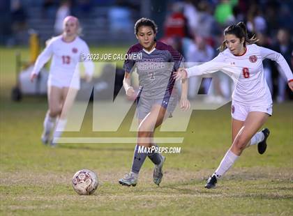 Thumbnail 2 in Marshall vs Lee photogallery.