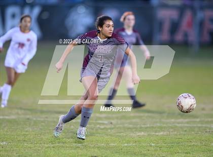 Thumbnail 2 in Marshall vs Lee photogallery.