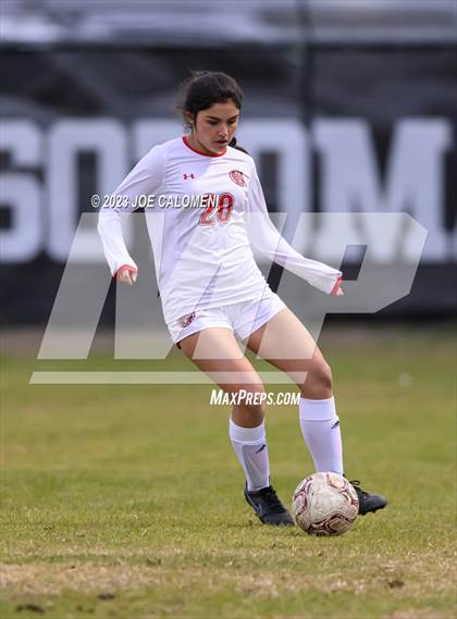 Thumbnail 2 in Marshall vs Lee photogallery.