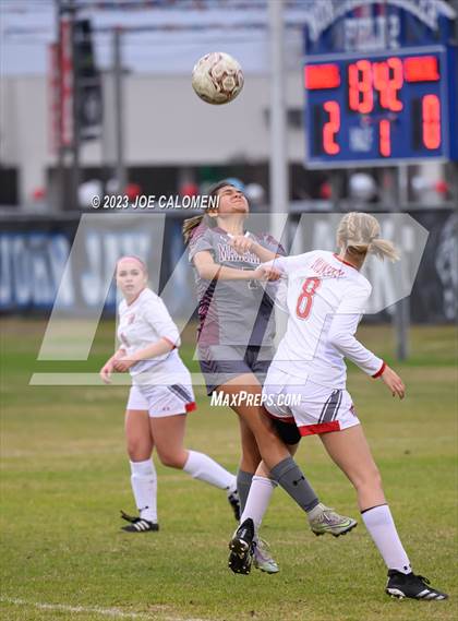 Thumbnail 3 in Marshall vs Lee photogallery.