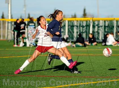 Thumbnail 2 in Whitney vs. Napa photogallery.