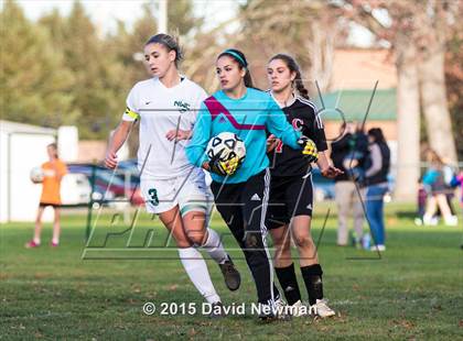 Thumbnail 2 in Cromwell @ Northwest Catholic (CIAC Class M 1st Round) photogallery.