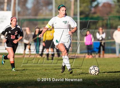 Thumbnail 2 in Cromwell @ Northwest Catholic (CIAC Class M 1st Round) photogallery.